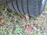 Image 0126
