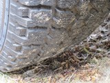 Image 0173
