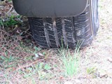 Image 0187
