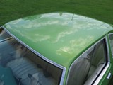 Image 0035
