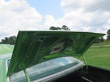 Image 0115

