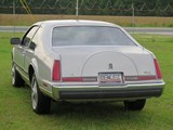 Image 0013
