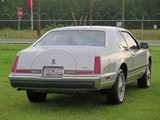 Image 0015
