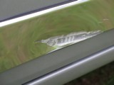 Image 0054
