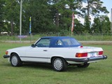 Image 0010
