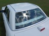 Image 0077
