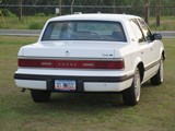 Image 0014
