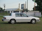 Image 0017
