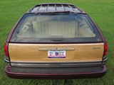 Image 0050
