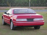 Image 0013
