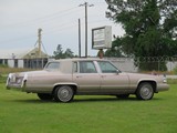 Image 0019
