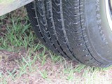 Image 0172
