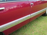 Image 0056
