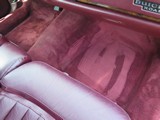Image 0097

