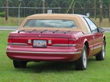 Image 0014
