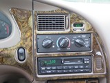 Image 0099
