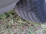 Image 0133
