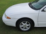Image 0030
