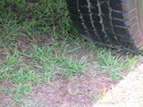Image 0112
