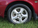 Image 0131
