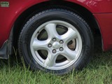 Image 0134
