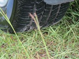 Image 0135
