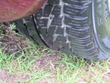 Image 0130
