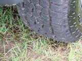 Image 0132
