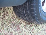 Image 0127
