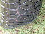 Image 0139
