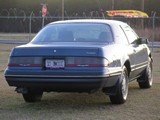 Image 0015
