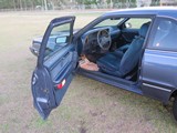 Image 0065
