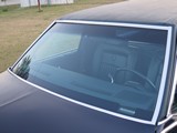 Image 0033
