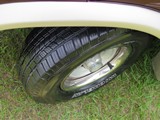 Image 0135
