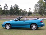 Image 0009
