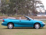 Image 0019
