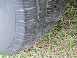 Image 0126
