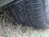 Image 0133
