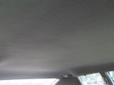 Image 0099
