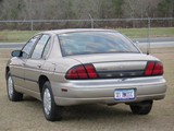 Image 0011
