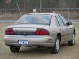 Image 0013
