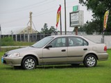 Image 0008
