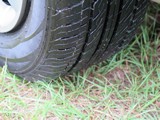 Image 0119
