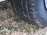 Image 0140

