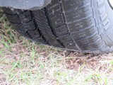 Image 0124
