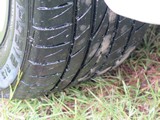 Image 0075
