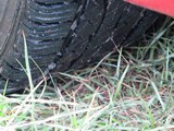 Image 0082
