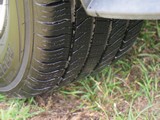 Image 0125
