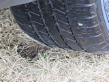 Image 0130
