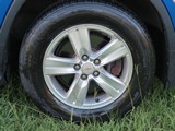 Image 0081
